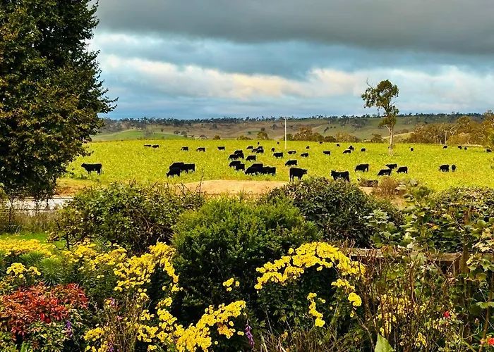 Red Hill Cottage Walcha
